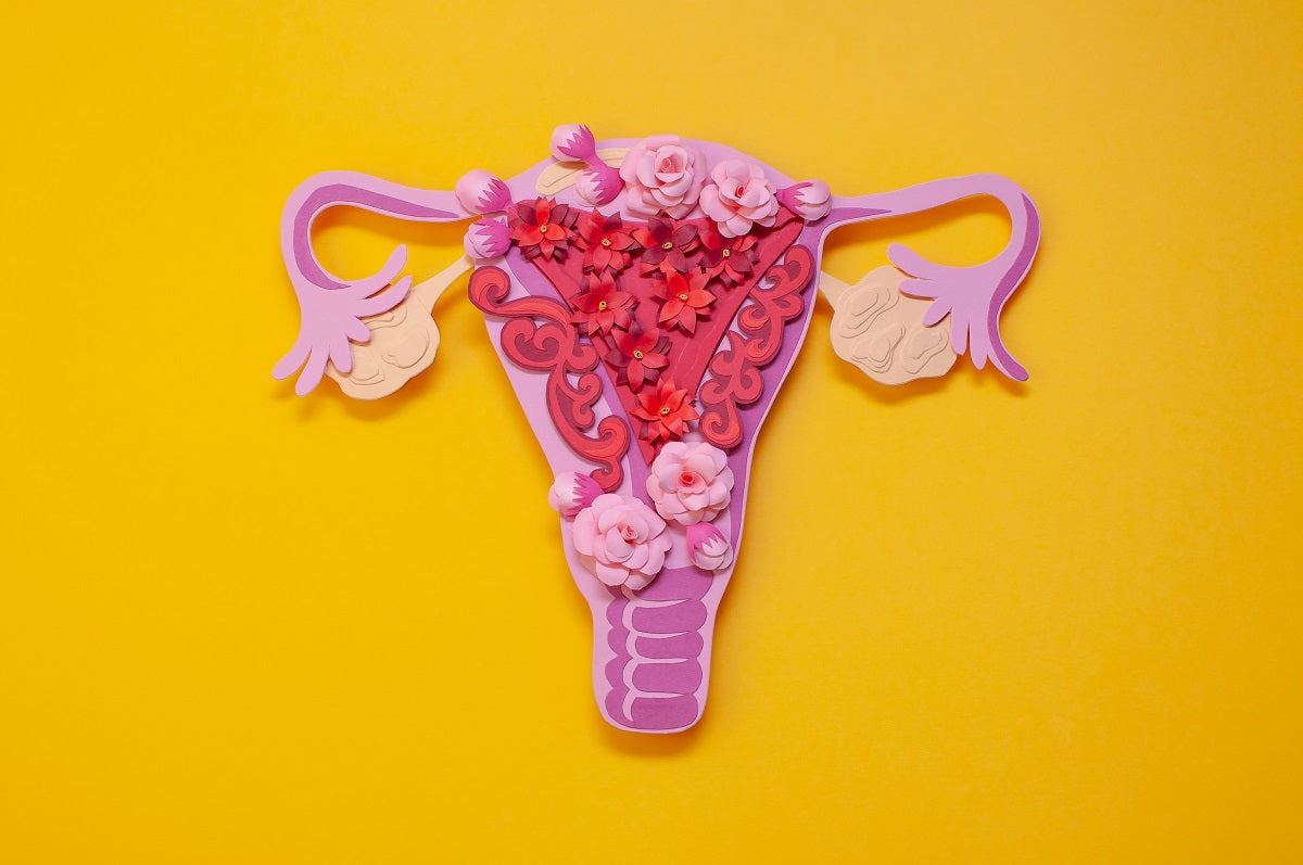 vaginal_tightening.jpg?v=1680939603