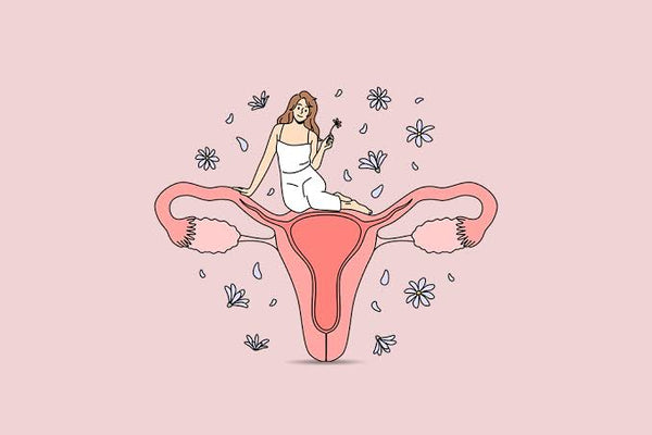 Fueling Your Feminine Health: The Best Foods for a Healthy Vagina