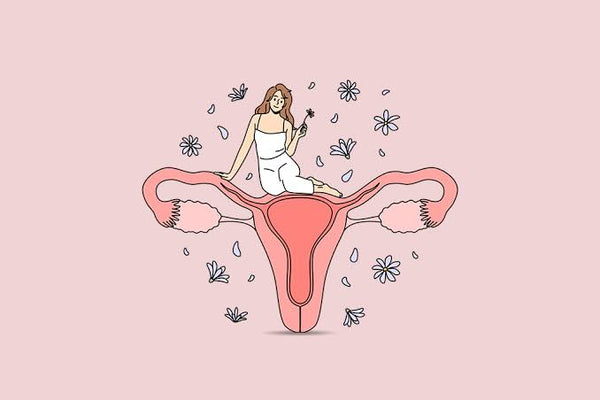 Fueling Your Feminine Health: The Best Foods for a Healthy Vagina